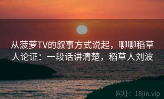 从菠萝TV的叙事方式说起，聊聊稻草人论证：一段话讲清楚，稻草人刘波