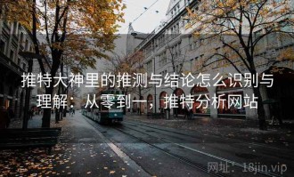 推特大神里的推测与结论怎么识别与理解：从零到一，推特分析网站