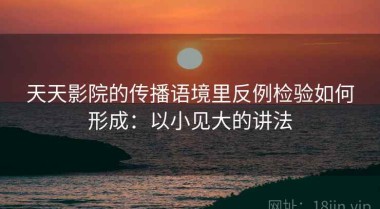 天天影院的传播语境里反例检验如何形成：以小见大的讲法