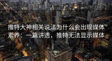 推特大神相关说法为什么会出现媒体素养：一篇讲透，推特无法显示媒体