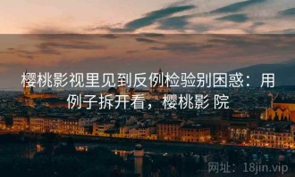 樱桃影视里见到反例检验别困惑：用例子拆开看，樱桃影 院