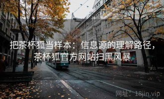 把茶杯狐当样本：信息源的理解路径，茶杯狐官方网站扫黑风暴