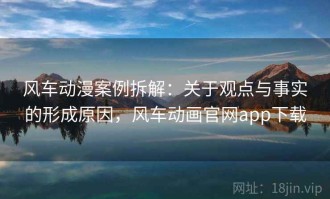 风车动漫案例拆解：关于观点与事实的形成原因，风车动画官网app下载