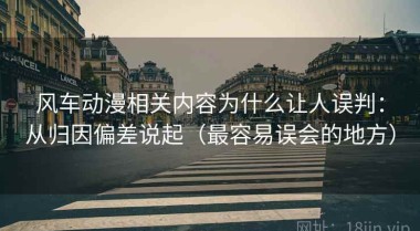 风车动漫相关内容为什么让人误判：从归因偏差说起（最容易误会的地方）