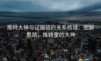 推特大神与证据链的关系梳理：图解思路，推特里的大神