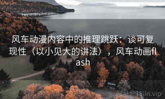 风车动漫内容中的推理跳跃：谈可复现性（以小见大的讲法），风车动画flash