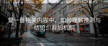 爱一番相关内容中，如何理解推测与结论：背后机制