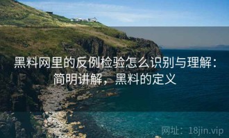 黑料网里的反例检验怎么识别与理解：简明讲解，黑料的定义