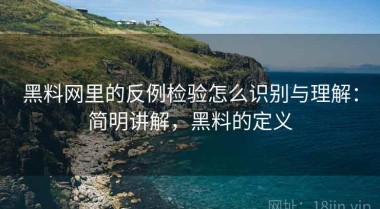黑料网里的反例检验怎么识别与理解：简明讲解，黑料的定义