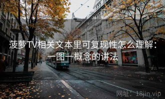 菠萝TV相关文本里可复现性怎么理解：一图一概念的讲法