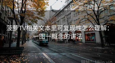 菠萝TV相关文本里可复现性怎么理解：一图一概念的讲法