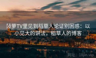 菠萝TV里见到稻草人论证别困惑：以小见大的讲法，稻草人的博客
