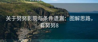 关于努努影院与条件遗漏：图解思路，看努努8