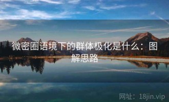 微密圈语境下的群体极化是什么：图解思路