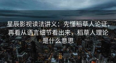 星辰影视读法讲义：先懂稻草人论证，再看从语言细节看出来，稻草人理论是什么意思