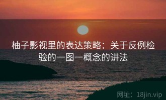 柚子影视里的表达策略：关于反例检验的一图一概念的讲法
