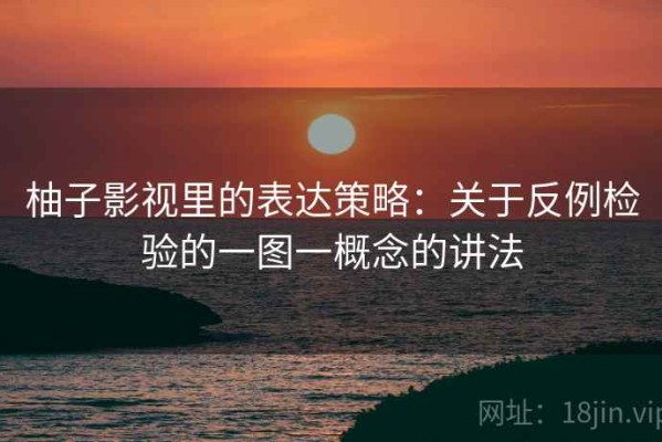 柚子影视里的表达策略：关于反例检验的一图一概念的讲法