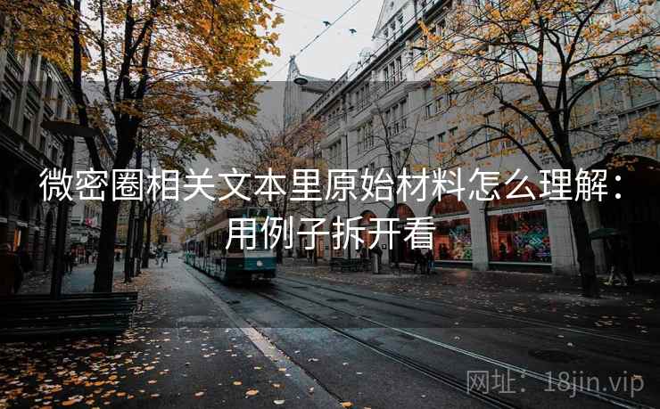 微密圈相关文本里原始材料怎么理解：用例子拆开看
