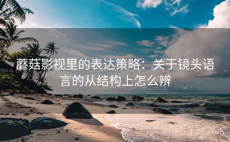 蘑菇影视里的表达策略：关于镜头语言的从结构上怎么辨