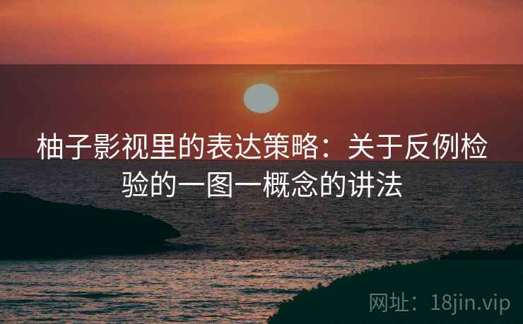 柚子影视里的表达策略：关于反例检验的一图一概念的讲法